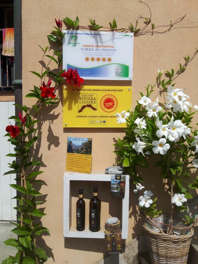 Villa Loft Al Mare San Lorenzo al Mare Exterior foto